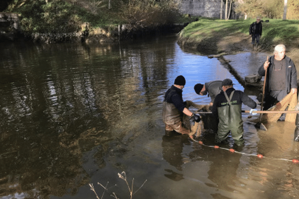 La pêche est interdite dans plusieurs communes de Loire-Atlantique