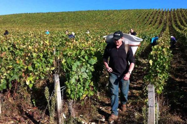 La troisième édition des vendanges citoyennes a eu lieu dimanche 2 octobre 2016 sur le domaine de la Cras, qui appartient au Grand Dijon.