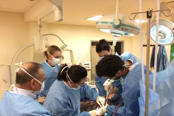 Une formation à la médecine de guerre à Poitiers