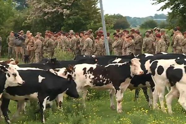 90 jeunes soldats américains ont visité les marais de Carentan, là où la 101ème division aéroportée a été parachutée à l'été 44