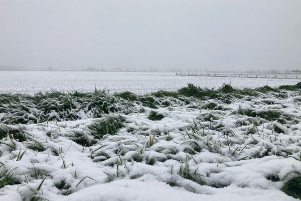 En Normandie, les premiers flocons de neige de la saison sont tombés mercredi 20 novembre 2024.