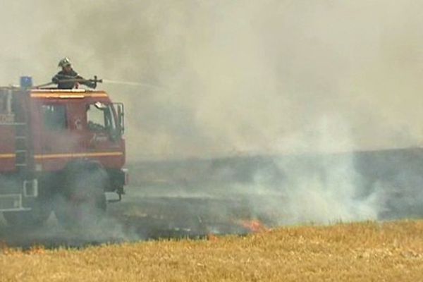 500 hectares sont partis en fumée depuis vendredi dernier