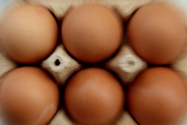 Suite à l’intoxication alimentaire collective d’enfants de l’école élémentaire de Tarascon-sur-Ariège, il a été décidé le rappel d’œufs potentiellement contaminés par la salmonelle et commercialisés depuis le 1er septembre 2018 par l’EARL Les Poulettes. (Photo d'illustration).