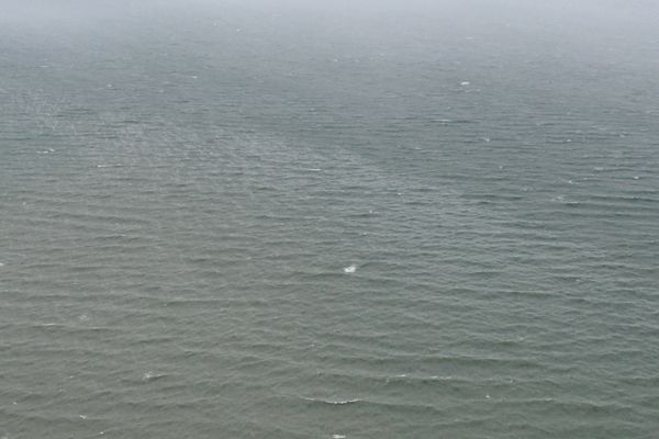 Une photo de la nappe blanchâtre, repérée au large de Cayeux-sur-Mer (Somme), a été prise par l'hélicoptère de la Marine nationale, vendredi 23 août 2024 en début d'après-midi.