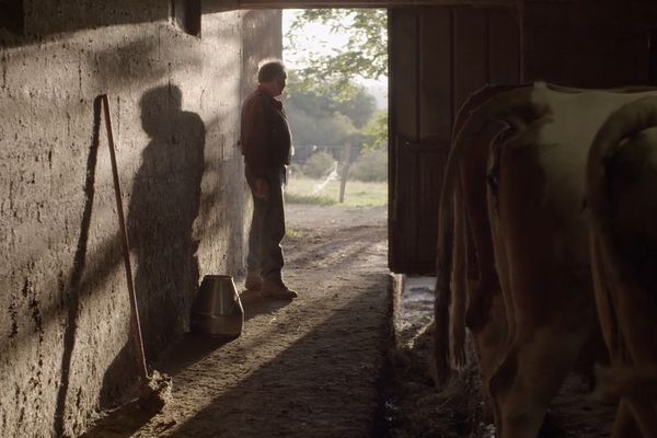 Replay Documentaire Passer La Main Louis Agriculteur Cherche Repreneur Pour Sa Ferme