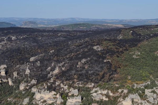 1360 hectares de forêt ont été détruits par les flammes.