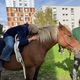 Les chevaux apportent du bonheur aux habitants de ce quartier populaire de Clermont-Ferrand.