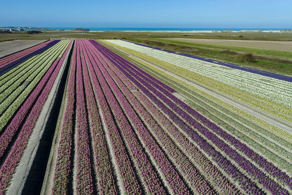 Le producteur de fleurs doit verser 250 euros par jour, pour pompage d'eau illégal