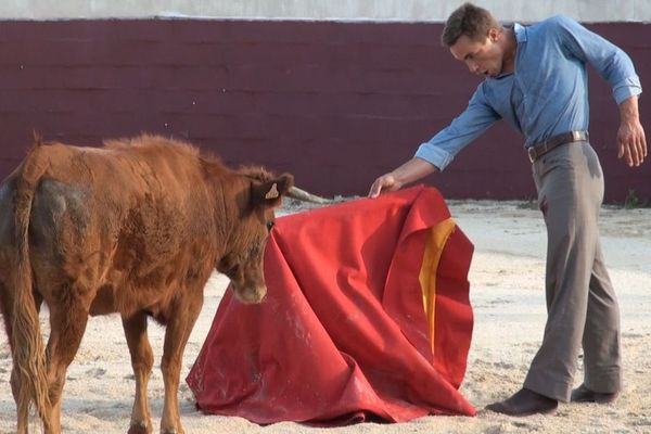 Juan Bautista en tienta au pied du Pic Saint Loup.