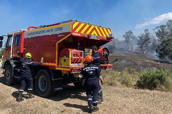 Un incendie s'est déclaré sur la commune d'Oletta ce dimanche 8 septembre. Cinq hectares ont été détruits. 