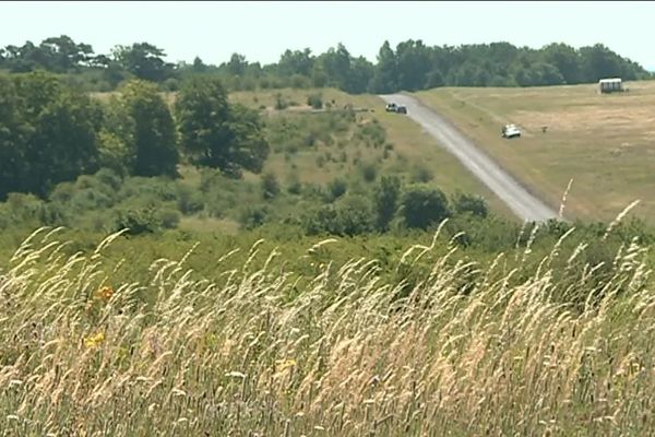 Pour 100 ha de construction, la société MSV s'engage à s'occuper de 242 hectares de terrain voisin 