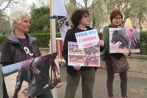 À l'occasion de la Féria d'Arles samedi 30 mars, une vingtaine de manifestants anti-corrida a tenté de faire entendre sa voix.