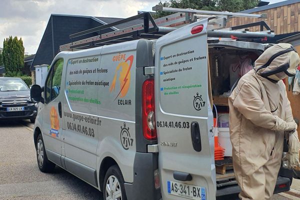 Cet été, les sociétés de désinsectisation et les pompiers se disent débordés à cause des abeilles. 