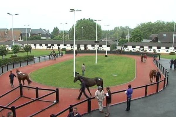 Vente de chevaux à Deauville