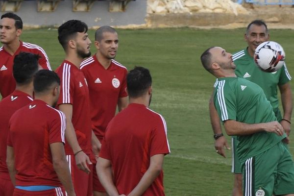 L'équipe d'Algérie à l'entraînement au Petro Sport Stadium, au Caire, le jeudi 18 juillet, veille de la finale de la CAN face au Sénégal.