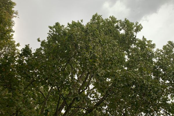 Orage boulevard de la Liberté à Lille