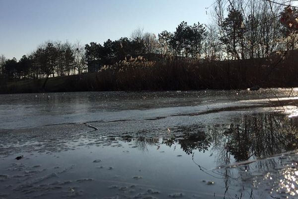 Etang du Bardon gelé