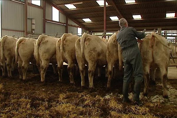 La formule du "groupement d'employeurs" séduit de plus en plus d'agriculteurs