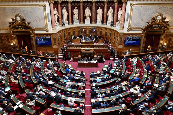 L'hémicycle du Sénat, au palais du Luxembourg, lors la session de questions au gouvernement du 21/06/2023