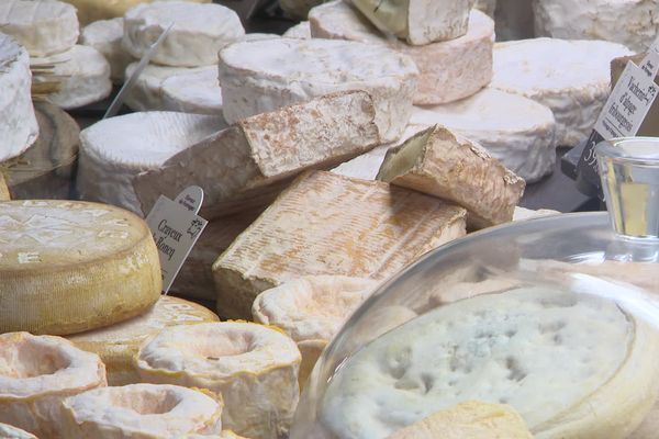 La maison Antony propose une centaine de références de fromages. La qualité des produits fait la réputation internationale de la fromagerie.
