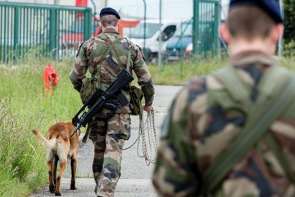 Les troupes mobilisées pour l'exercice interarmées "Finistère 2019"