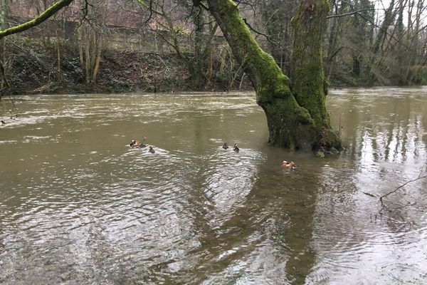 Par mesure de précaution, la consommation des poissons de la Semoy et la Meuse est interdite dans les Ardennes.