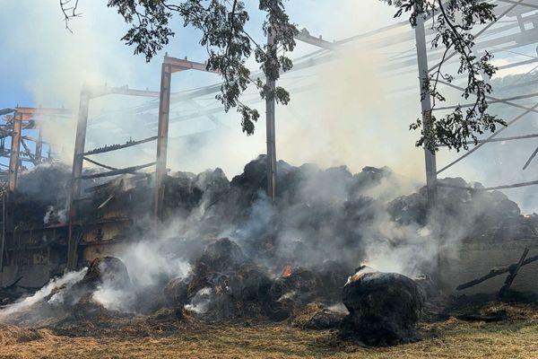 Le feu a pris dans un bâtiment agricole de 2000 mètres carrés comprenant une partie stockage et une partie écurie. L’ensemble des animaux ont été évacués avant l’arrivée des secours.