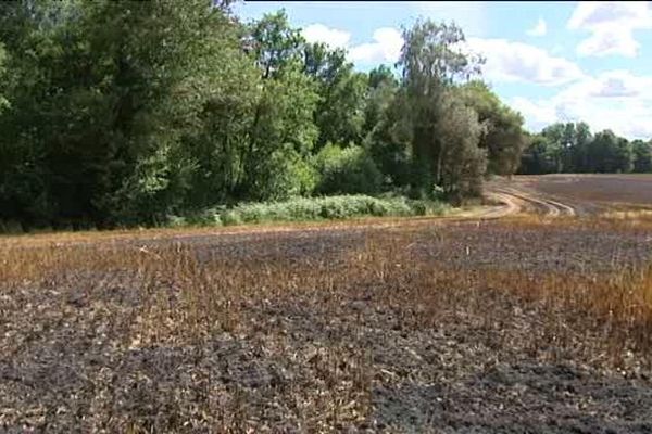 Le feu a brûlé des parcelles agricoles. 