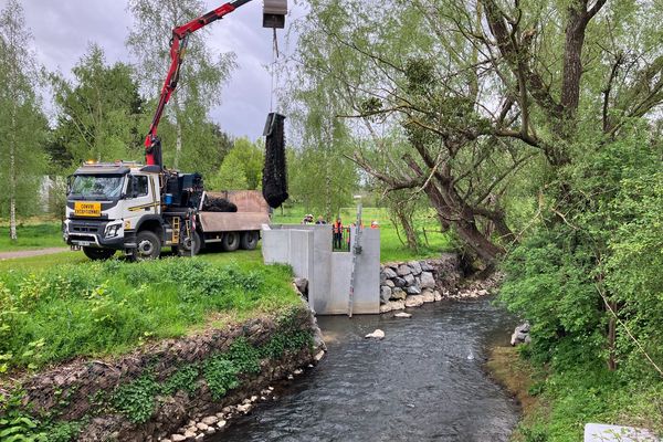 Environnement. Comment protéger la rivière ? L'Aure en exemple