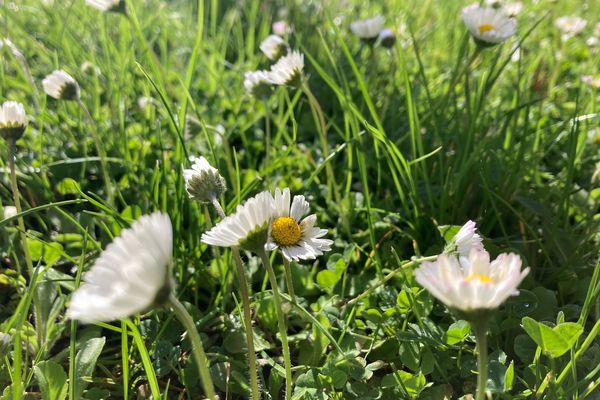 Un week-end sous le soleil