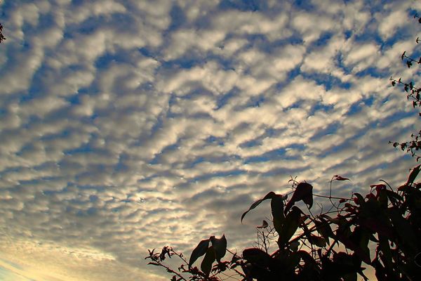 Sous les nuages