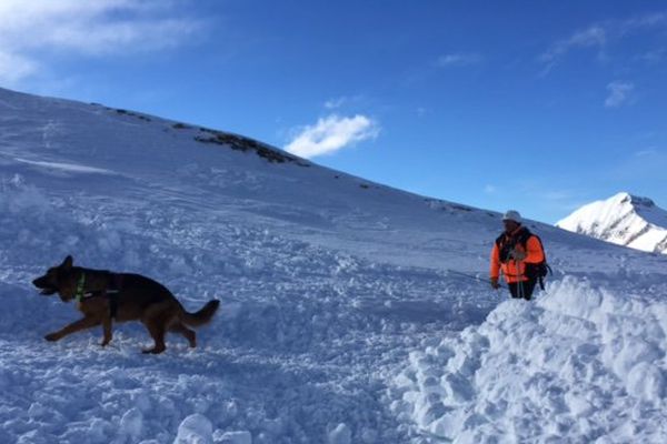 L'hiver se déroulent des formations de chiens d'avalanche. Aux Orres, 5 jeunes chiens plus 12 chiens sont déjà agréés. Les formations sont dispensées faites par l'ANENA (Association Nationale Etude Neige et Avalanches)