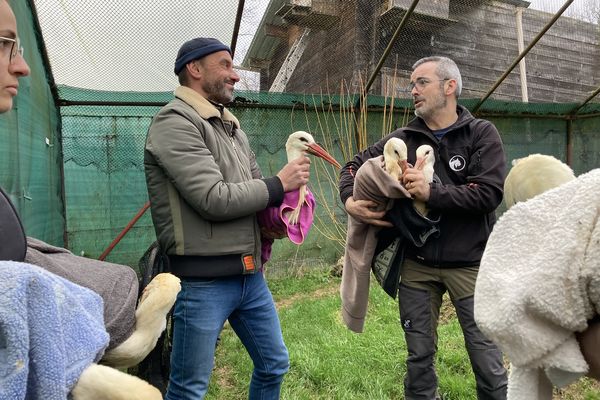 Franck Menestret, journaliste et présentateur de l'émission En terre animale, et Gilles Moyne, directeur du Centre Athénas.