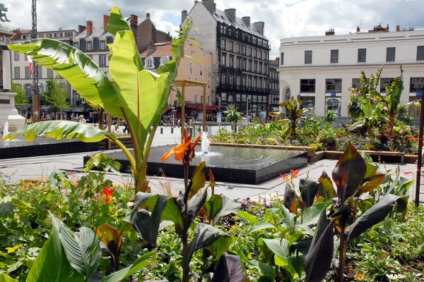 A Clermont-Ferrand, il n'est pas toujours simple de trouver un peu de fraîcheur en période de forte chaleur.