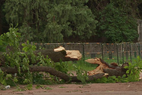 Deux enquêtes sont en cours pour déterminer les circonstances exactes de l'accident au parc de la Tête d'Or de Lyon.