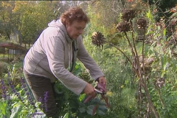 Dans le jardin de Josiane, chaque plante a un rôle à jouer