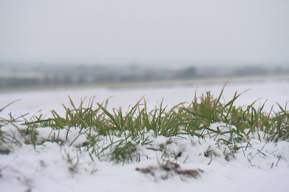 Een nieuwe doorbraak voor de winter in Nord-Pas-de-Calais