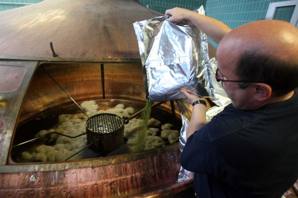 Les Brasseurs de Gayant, à Douai, reçoivent une médaille d'or pour une bière aromatisée à la framboise, la "Belzebuth Pink".