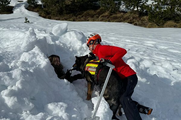 Mardi 6 février 2024 : des équipes de maîtres-chiens d'avalanche en exercice sur le domaine skiable d'Ax-Bonascre en Ariège.