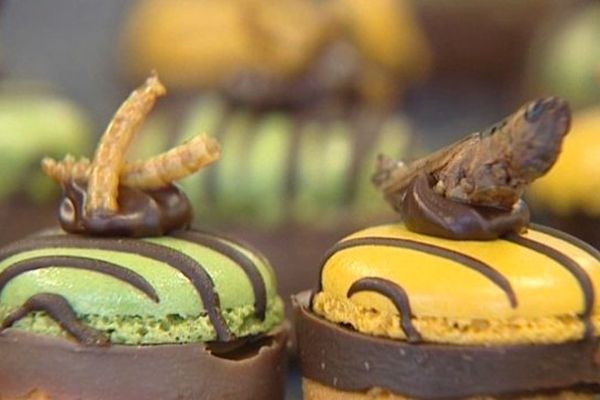 Des macarons aux insectes