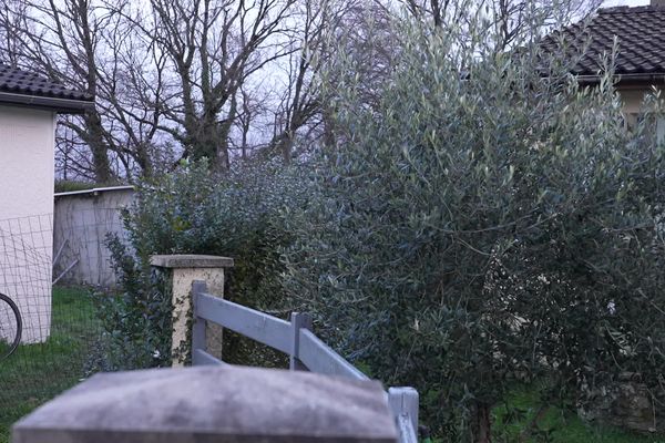 Les ossements humains ont été découverts dans la cabanon que l'on aperçoit à l'arrière de cette maison du quartier de Beaubreuil  à Limoges.