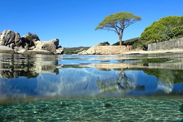 ILLUSTRATION - Paysage de Corse ensoleillée.