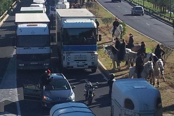 Pendant plus d'une heure, les professionnels de la filière équine ont bloqué l'autoroute A9