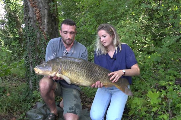 VIDEO. On a testé pour vous : aller à la pêche avec un guide et sortir de l'eau une carpe de 13 kilos !