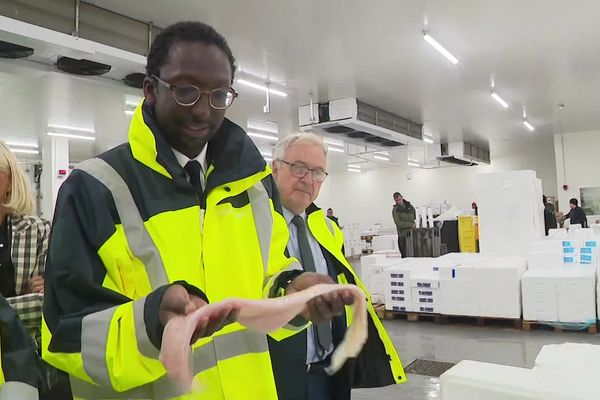 “Vous voyez tout ce qu’il y a comme travail derrière ? Tout ce qu’il faut pour qu’on ait ça dans nos étales et nos grandes surfaces !”, s’est exclamé le nouveau Secrétaire d’Etat chargé de la mer pendant une visite à Boulogne-sur-Mer.