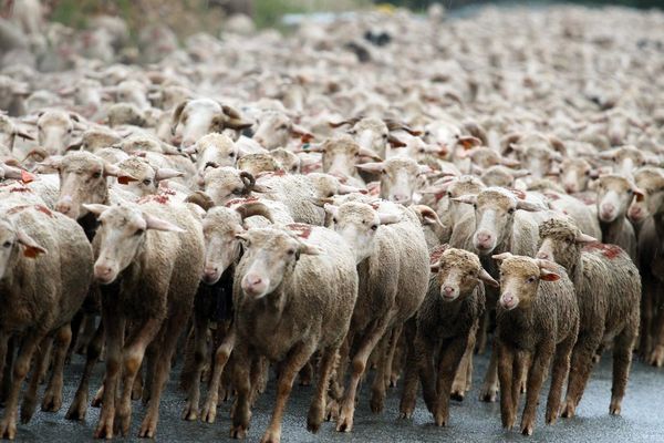 Le week-end de l'Ascension s'annonce chargé sur les routes des Pays de la Loire