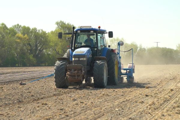 En novembre 2023, les Vingt-Sept devront à nouveau s'exprimer sur le renouvellement ou non de l'autorisation du glyphosate pour une période de 10 ans supplémentaires. (image d'archives)