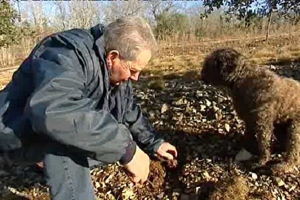 Le flair de Victor est infaillible pour découvrir des truffes