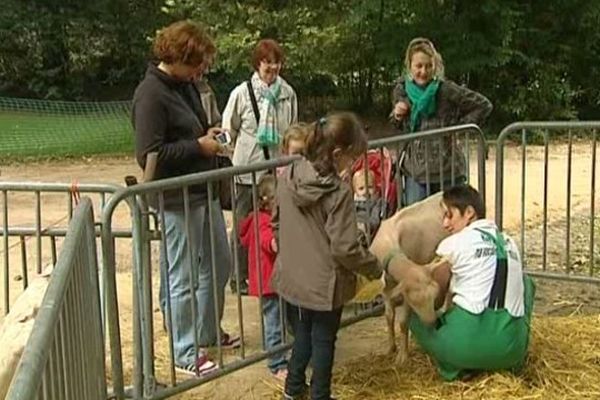 Sandrine n'a pas hésité à descendre en ville avec ses chèvres qu'elle élève depuis 10 ans. L'espace d'un week-end, elle s'est installée avec elles dans le jardin Henri Vinay au Puy-en-Velay. Pour faire découvrir son métier au grand public. 