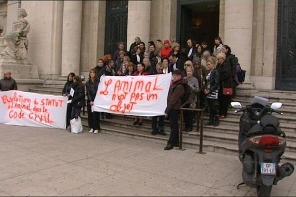 Le jour de l'audience devant le tribunal correctionnel de Toulon manifestation de soutien aux animaux